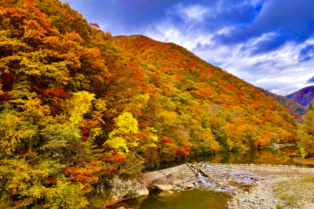 10月後半には渓谷全体が紅葉する